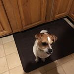 Profile Picture of Kim Harrop (@kim.harrop) on Instagram