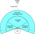 Profile Picture of Field of viewon Wikipedia