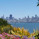 Profile Picture of Rogelio Marquez (@rogeliomarquez833) on Instagram