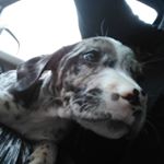 Profile Picture of GRAYSON GRAY (@grayson_gray_matthews) on Instagram