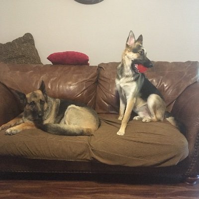 Profile Picture of Colby Oconnor (@ColbyOc69617832) on Twitter