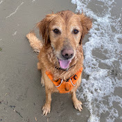 Profile Picture of Timothy Larson (@timwaylar) on Youtube