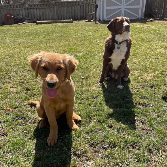 Profile Picture of Brian Tuman (@b2man) on Poshmark