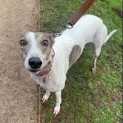 Profile Picture of Meg Davies (@MegD25) on Youtube