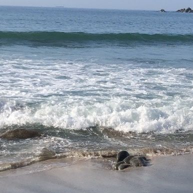 Profile Picture of JosephField (@phegmrxqpxc) on Tiktok