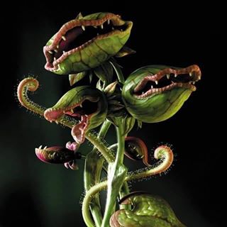 Profile Picture of Brandybeat Gabrice (Beatrice v Johnson) (@brandybeat.gabrice) on Facebook