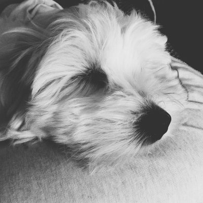 David Baran - Twitter Profile Picture of David Baran (@Davidbaran18) on Twitter