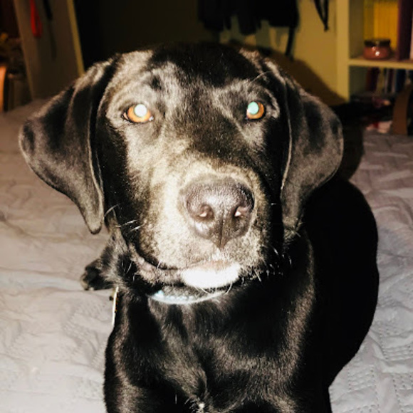 Profile Picture of Raymond Gilbeaux (@fire70251) on Poshmark