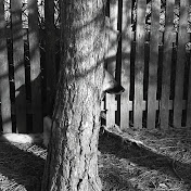 Profile Picture of Robert Brenner (@robertbrenner3246) on Youtube