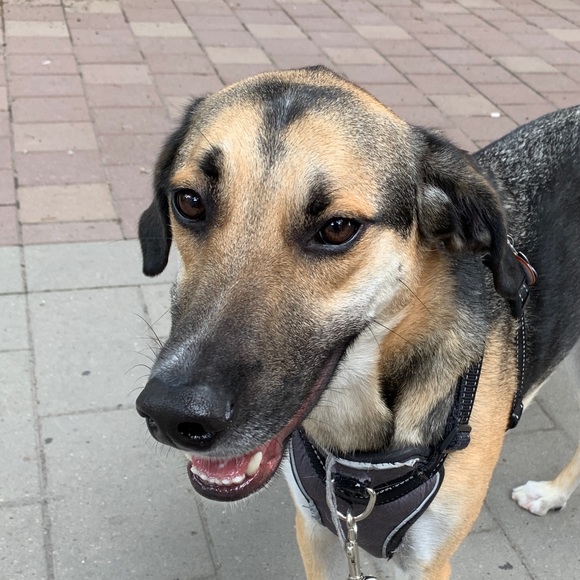 Profile Picture of Robert Ha (@bobertha) on Poshmark