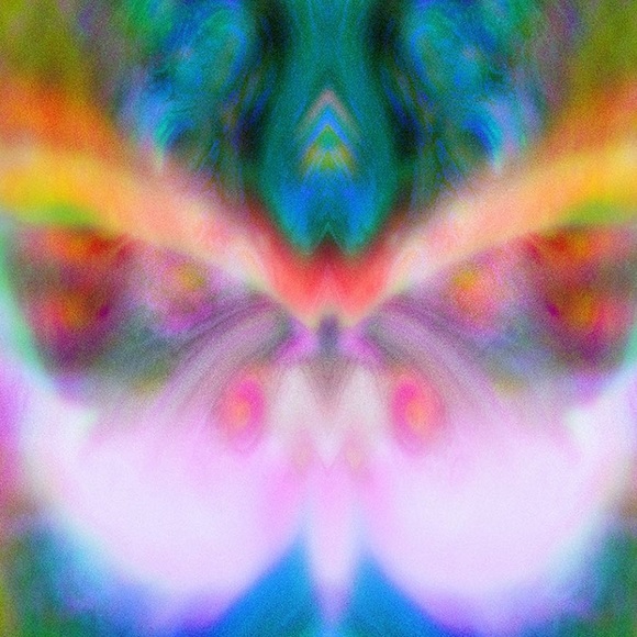 Shelby Lester - Poshmark Profile Picture of Shelby Lester (@shelbylester) on Poshmark