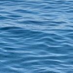 Profile Picture of Anna (@annamariajosephinegitto) on Instagram