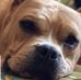 Profile Picture of Jason Mcmillin (@jason.mcmillin.756) on Facebook