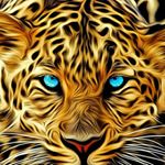 Profile Picture of bradley pepper (@pepperbradley) on Instagram