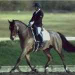 Profile Picture of Mark Cunliffe (@marklakefield) on Instagram