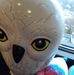 Profile Picture of Robert Fouty (@robert.fouty.378) on Facebook