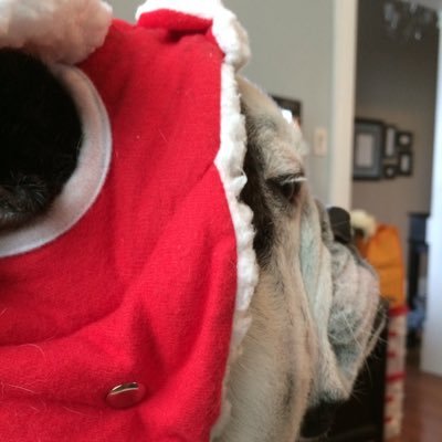 Profile Picture of Tara Melton (@TaraMelton_83) on Twitter
