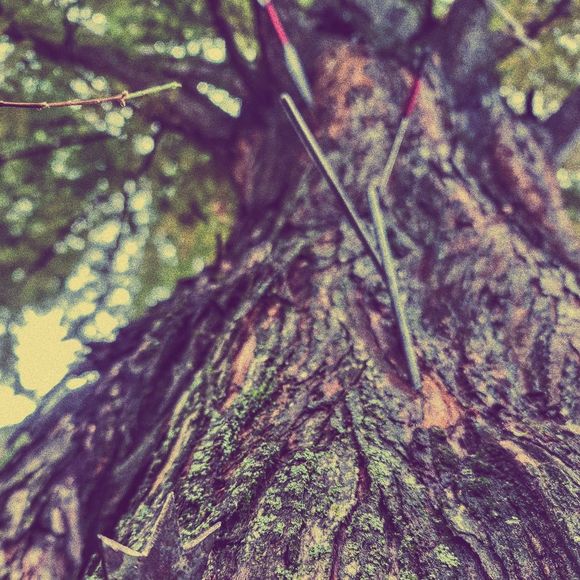 Profile Picture of Jacob Hodsdon (@quipucito) on Poshmark