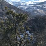 Fiona Magee - Instagram Profile Picture of Fiona Magee (@poppie49) on Instagram