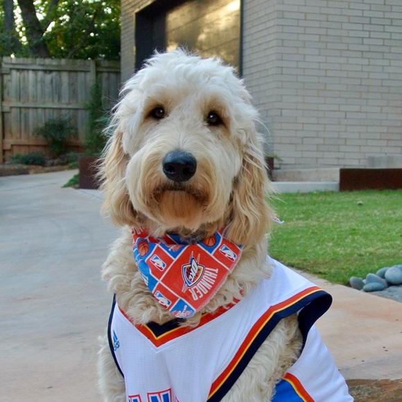 Profile Picture of Patrick Daneshmand (@patrickd11) on Poshmark