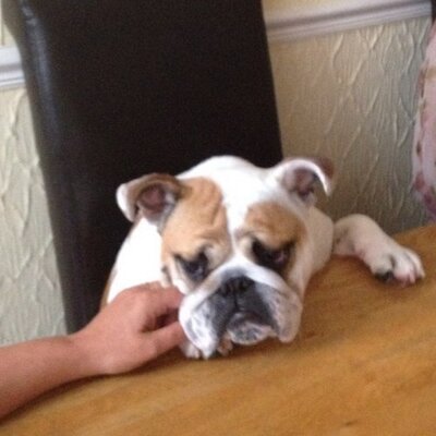 Profile Picture of Darren Chalmers (@darren_chalmers) on Twitter