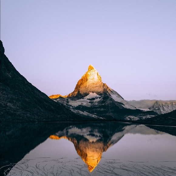 Brian Silva - Poshmark Profile Picture of Brian Silva (@sauceboi) on Poshmark