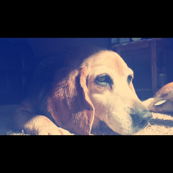 Profile Picture of Kiana Hellenbrand (@kiana_hellen19) on Poshmark