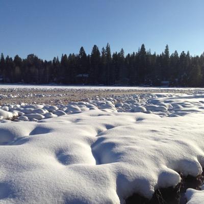 Profile Picture of Peter Stach (@pstachattack) on Twitter