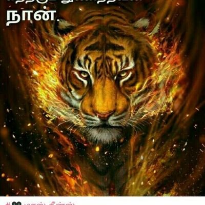Profile Picture of Suresh Mani Suresh (@SureshmaniSure1) on Twitter