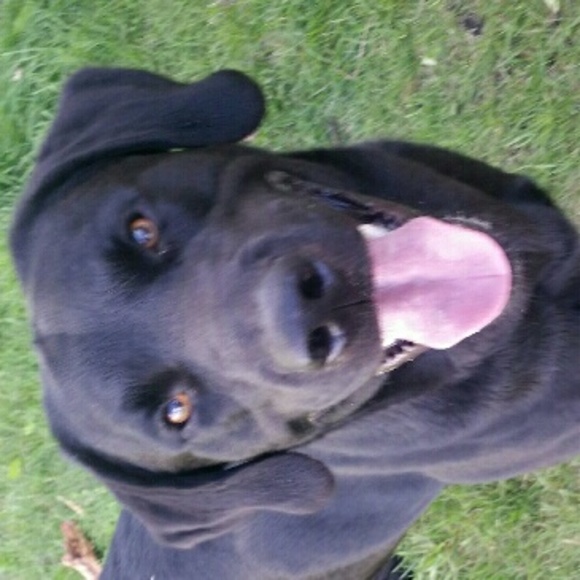 Profile Picture of Katie Skalsky (@skatie2586) on Poshmark