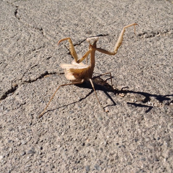 Profile Picture of Alec James (@acrazyfisherman) on Poshmark