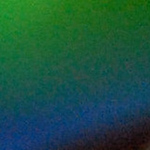 Profile Picture of Gold Mango (@gold mango) on Flickr