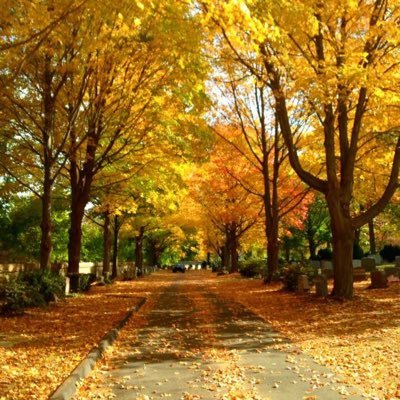 Profile Picture of Cheryl Lopes (@CherylLopes5) on Twitter