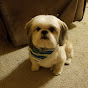 Profile Picture of Corey Carlson (@@jediknight1226) on Tiktok