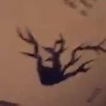 Profile Picture of gracieabramstours (@gracieabramstours) on Instagram