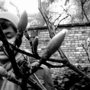 Profile Picture of Lucila Pacheco (@lucilapacheco) on Myspace