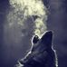 Profile Picture of Jeff Johansen (@jeff.johansen.792) on Facebook