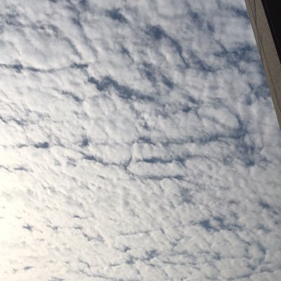 Profile Picture of Joyce (@Joyce_Feng123) on Twitter