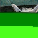 Profile Picture of Joel (@joelgoodall77c) on Instagram