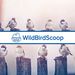 Profile Picture of Wild Bird Scoop (*v*) Coates (@wildbirdscoop) on Pinterest