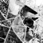 Profile Picture of Jonathan Prestinari (@jonathan.prestinari.ph) on Instagram