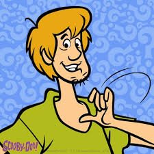 Profile Picture of Chase Matthew Giese (@Captain_Shaggy1) on Twitter