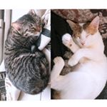 Profile Picture of Adam&Dilly (@weareacouple_1021) on Instagram