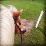 Profile Picture of Vivian engel (@vivi_engelchen_29) on Instagram