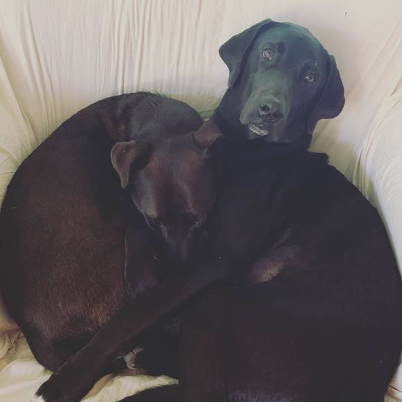 Profile Picture of Amanda Gargano (@agargano03) on Poshmark