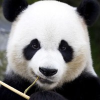 Profile Picture of Christopher Dong (@christopher-dong-11) on Quora