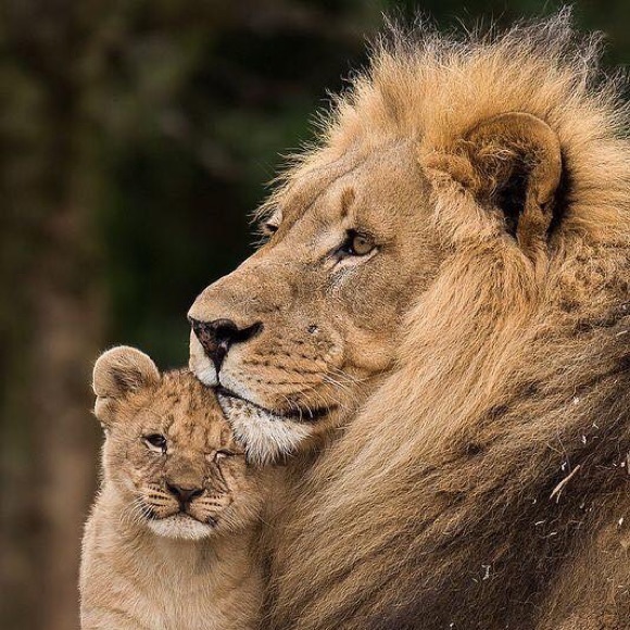 Profile Picture of Mike Cruz (@raymondm25) on Poshmark