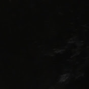 Jenna Claire's World - Youtube Profile Picture of Jenna Claire's World (@jennaclairesworld9906) on Youtube