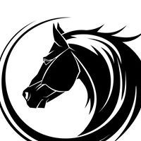 Profile Picture of Tim Varnado (@tigereye1060) on Pinterest