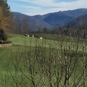 Profile Picture of Lynn Manning (@irsheyes) on Youtube